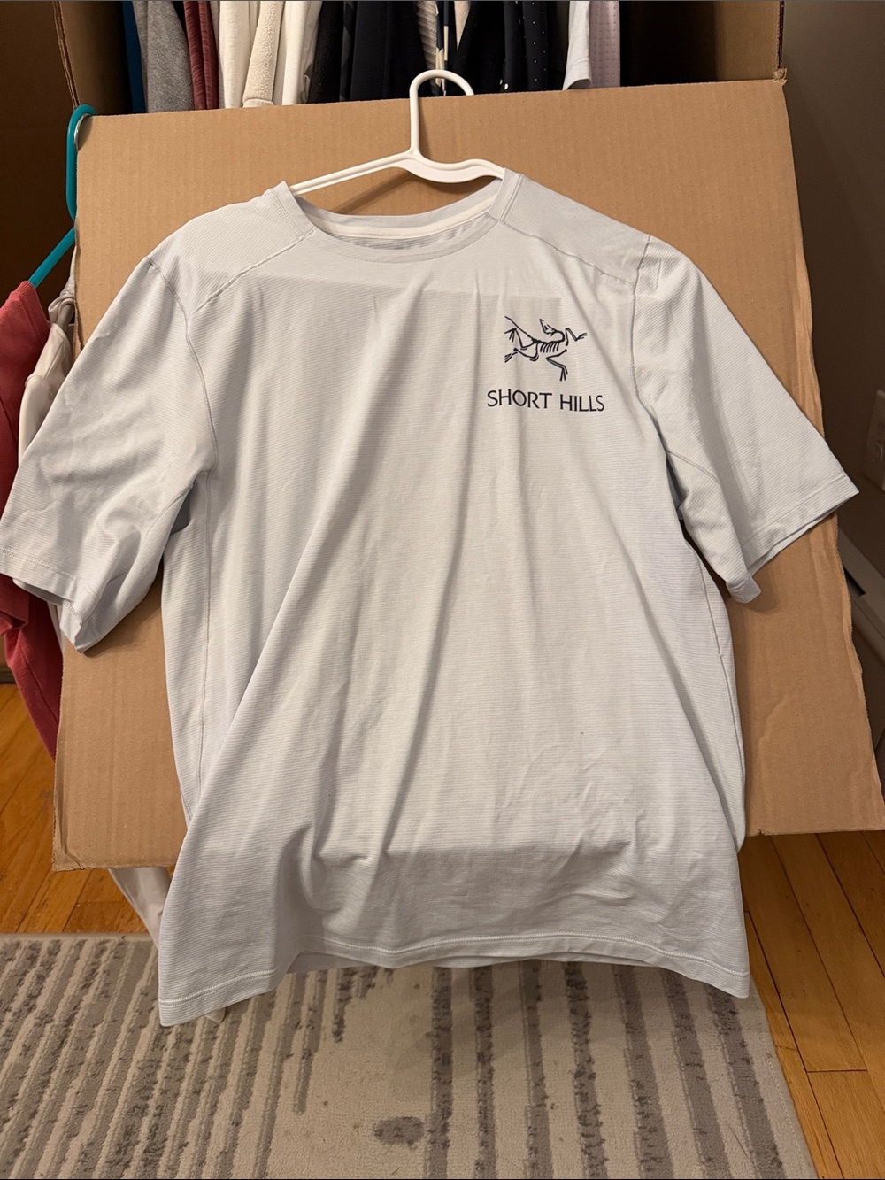 Arc'teryx Short Hills Light Gray Logo Short-Sleeve Tee